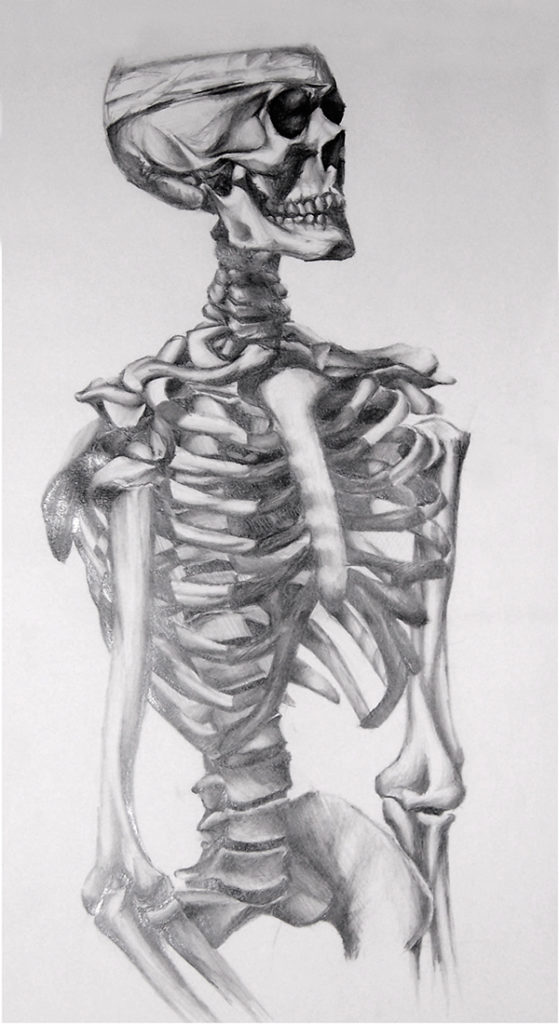 Gordon pencil drawing of skeleton
