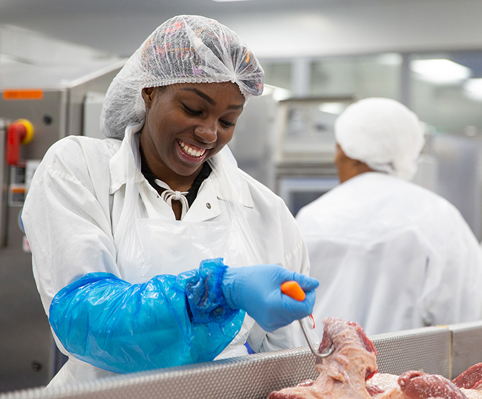 Lady working in meat factory grabbing meat with a hook
