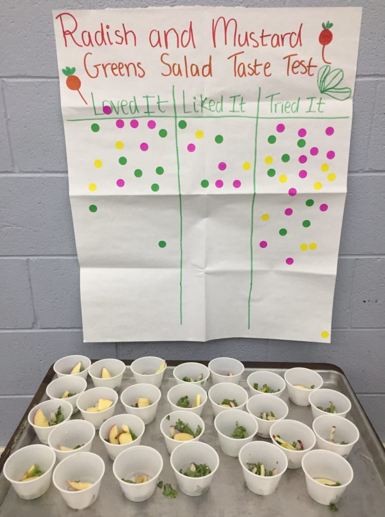 tray of cups filled with radish and mustard greens salad for taste test