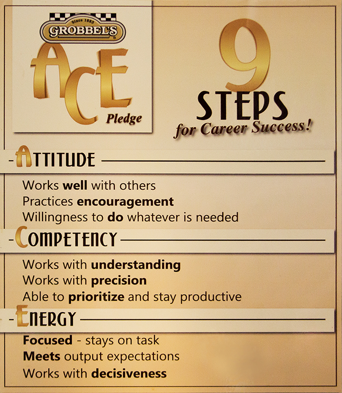 Poster of Grobbel's steps for success ACE