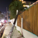 fallen telephone pole in street