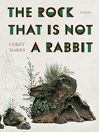 The Rock that is not a Rabbit book cover