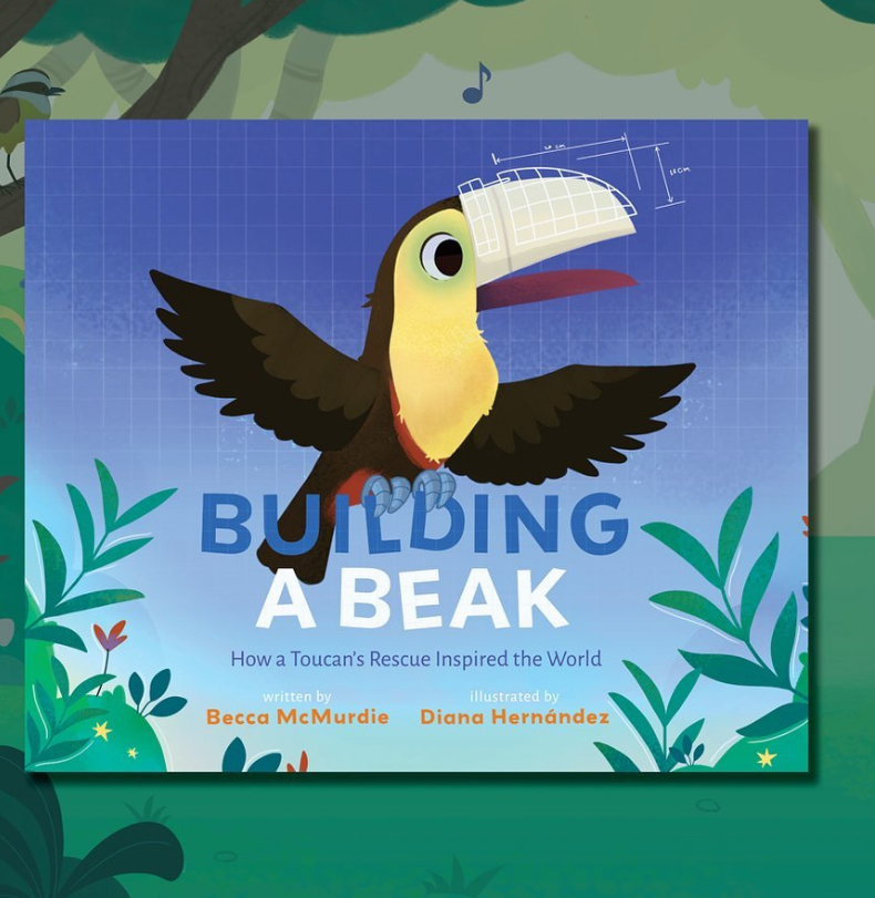 The cover of "Building A Beak: How a Toucan’s Rescue Inspired the World" by Becca McMurdie, illustrated by Diana Hernández, features a colorful illustration of a toucan with a prosthetic beak. The toucan has a yellow face, black feathers, and a red throat, with its wings spread against a blue grid background resembling a blueprint. The title "BUILDING A BEAK" is in bold blue and white letters at the bottom, with the subtitle in smaller orange text below. The authors' names are in blue, and the background includes green foliage and a small bird, adding a natural touch to the design.