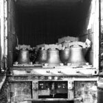 the bells of Stetson Chapel