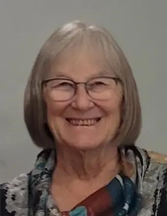 A portrait of Nancy Ellen Sinclair, a woman with shoulder-length gray hair and glasses, smiling toward the camera. She is wearing a patterned scarf with shades of blue, red, and gray over a dark top, set against a plain, light-colored background.